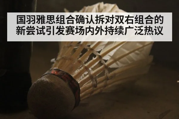 国羽雅思组合确认拆对双右组合的新尝试引发赛场内外持续广泛热议