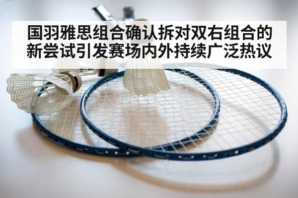 badminton racket and shuttlecock